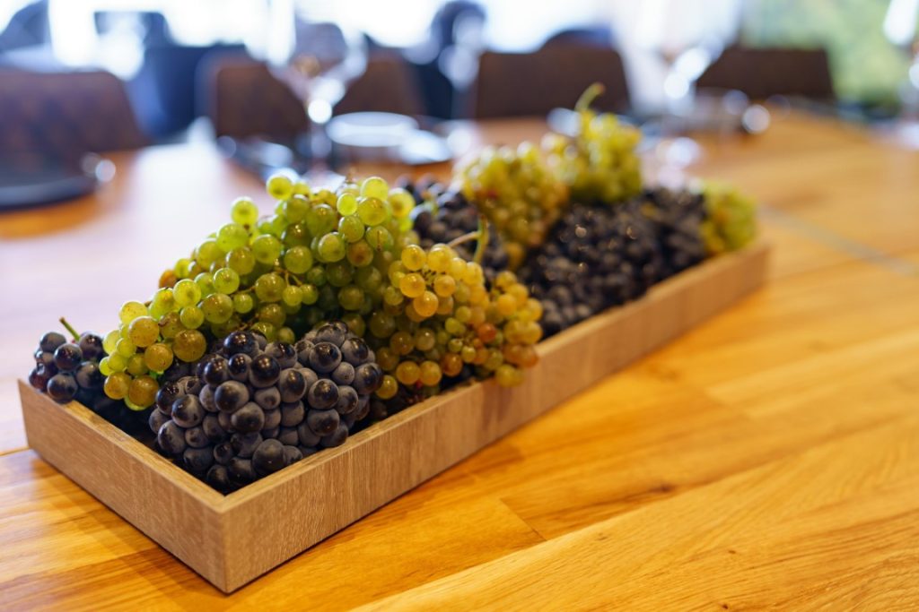 Recanati-JINIPIX-1022-scaled