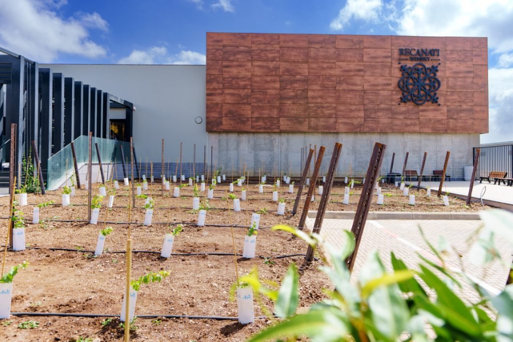 Recanati-JINIPIX-1146-scaled