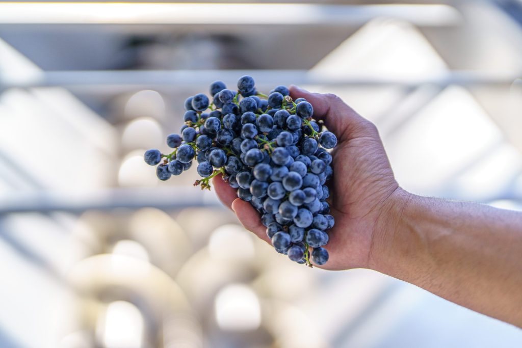 Recanati-JINIPIX-1241-scaled