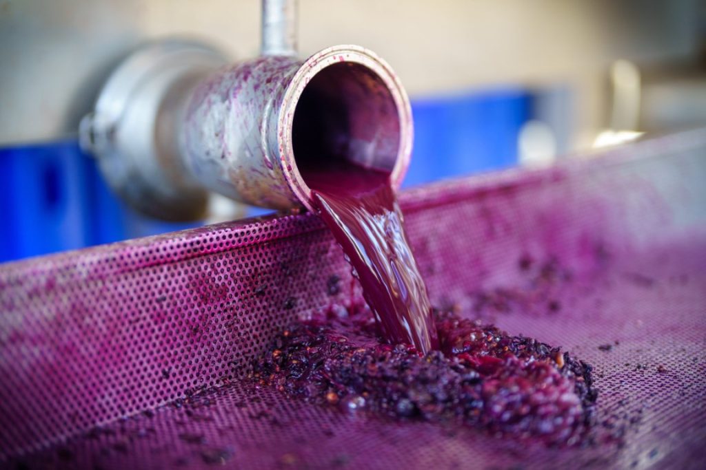 Recanati-JINIPIX-1246-scaled