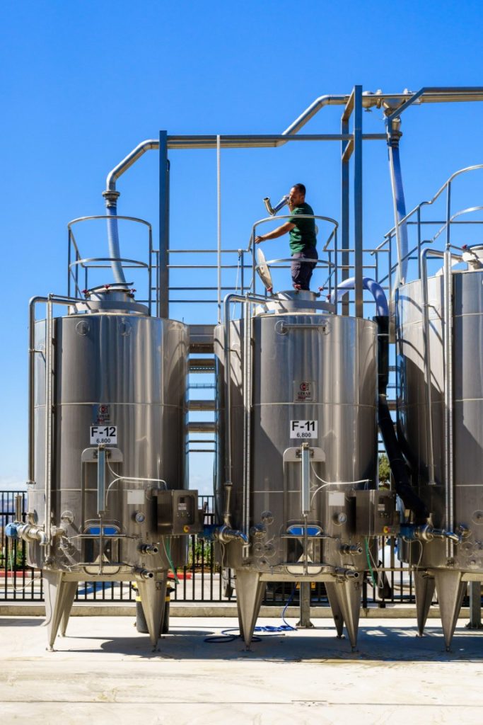 Recanati-JINIPIX-1250-scaled