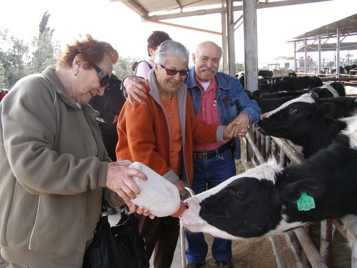 הרפת הרובוטית 1